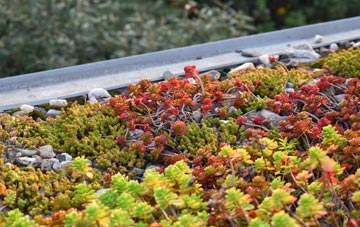 the cost of White Waltham green roof installation