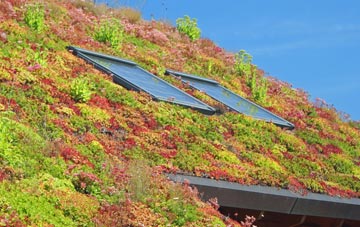 White Waltham living roof systems